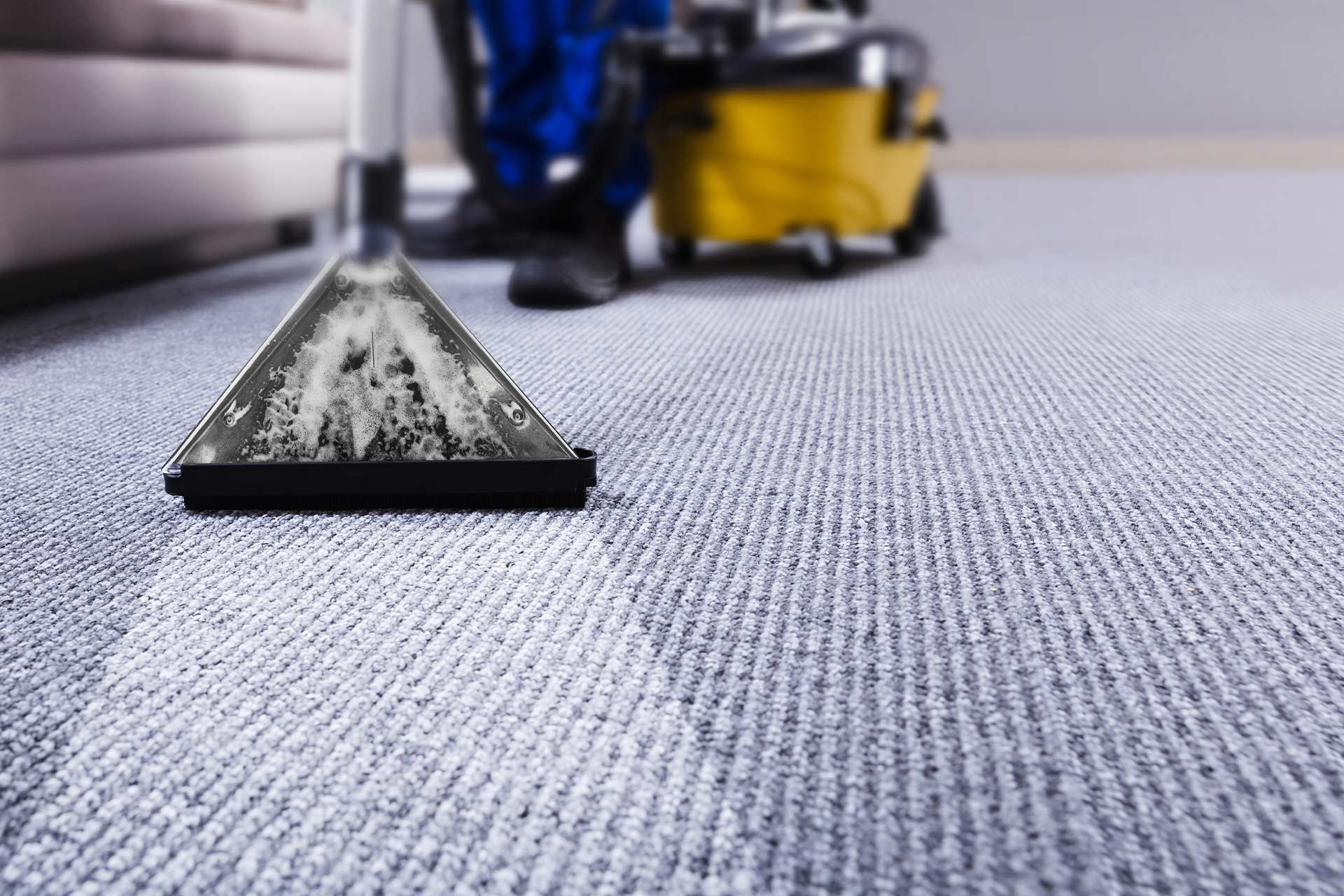 Modern living room carpet clean