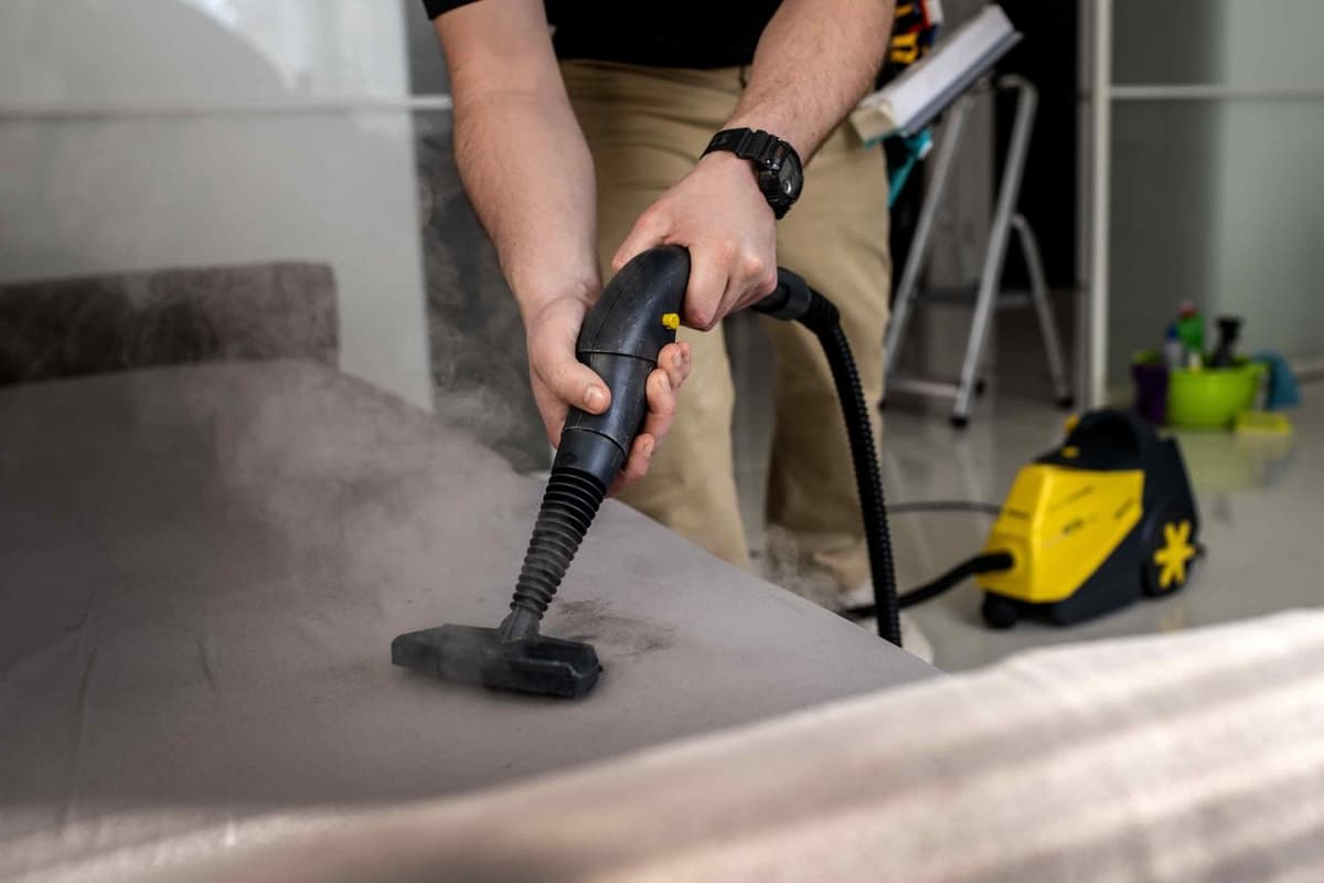 Upholstery / Couch Cleaning