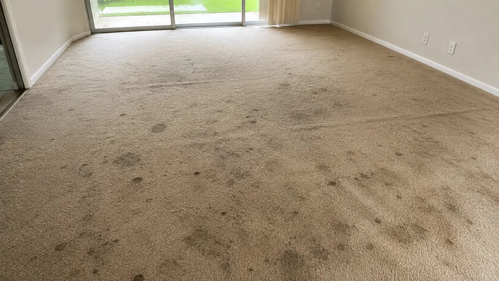 Carpet Cleaning (before)