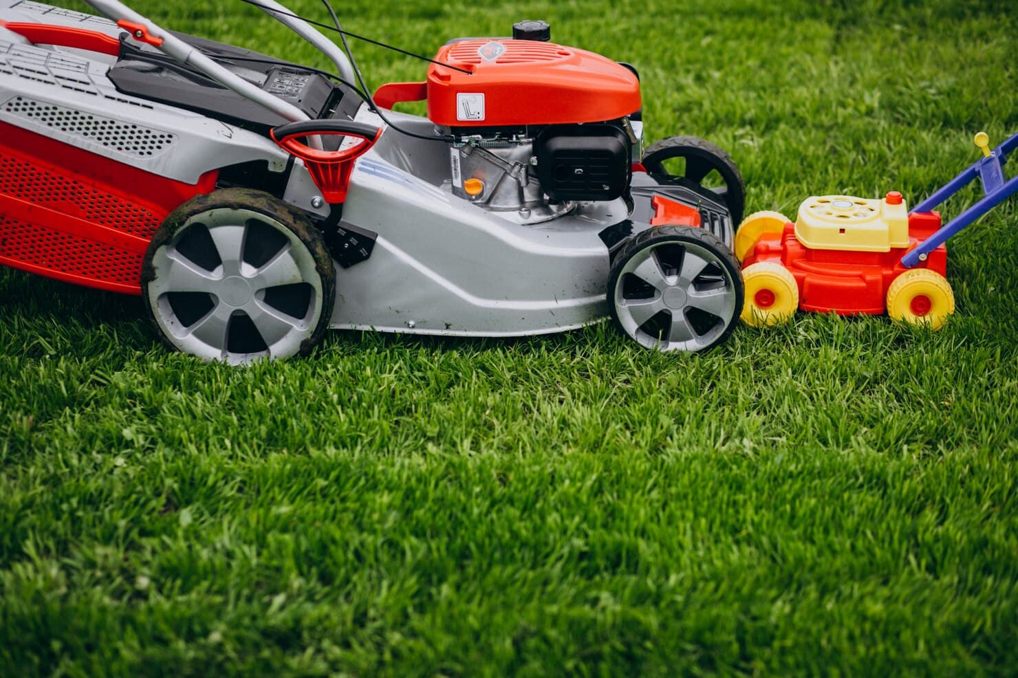 Professional lawn mowing service Brisbane