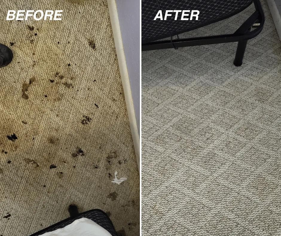 Carpet Cleaning result 2