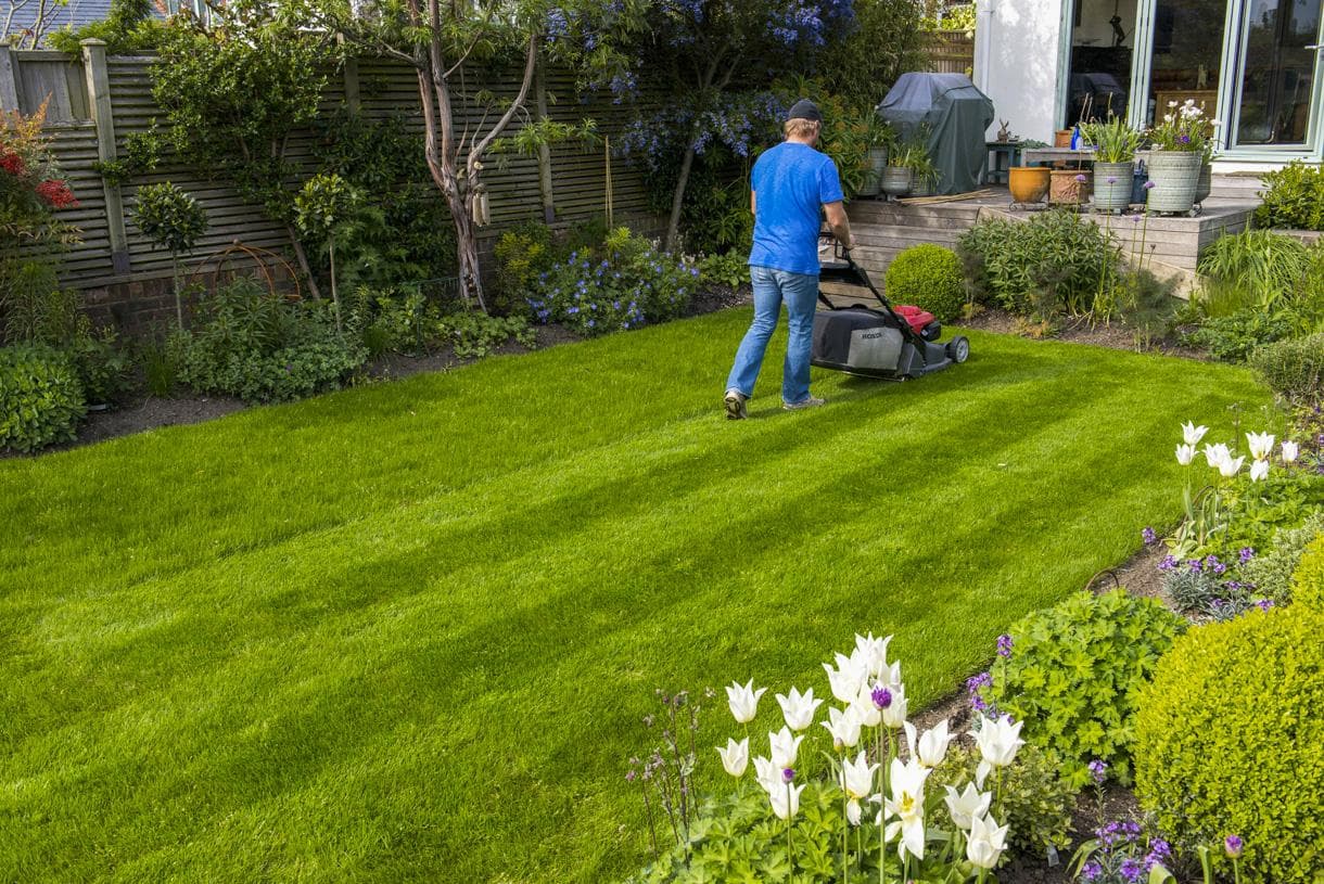 Lawn Mowing result 3
