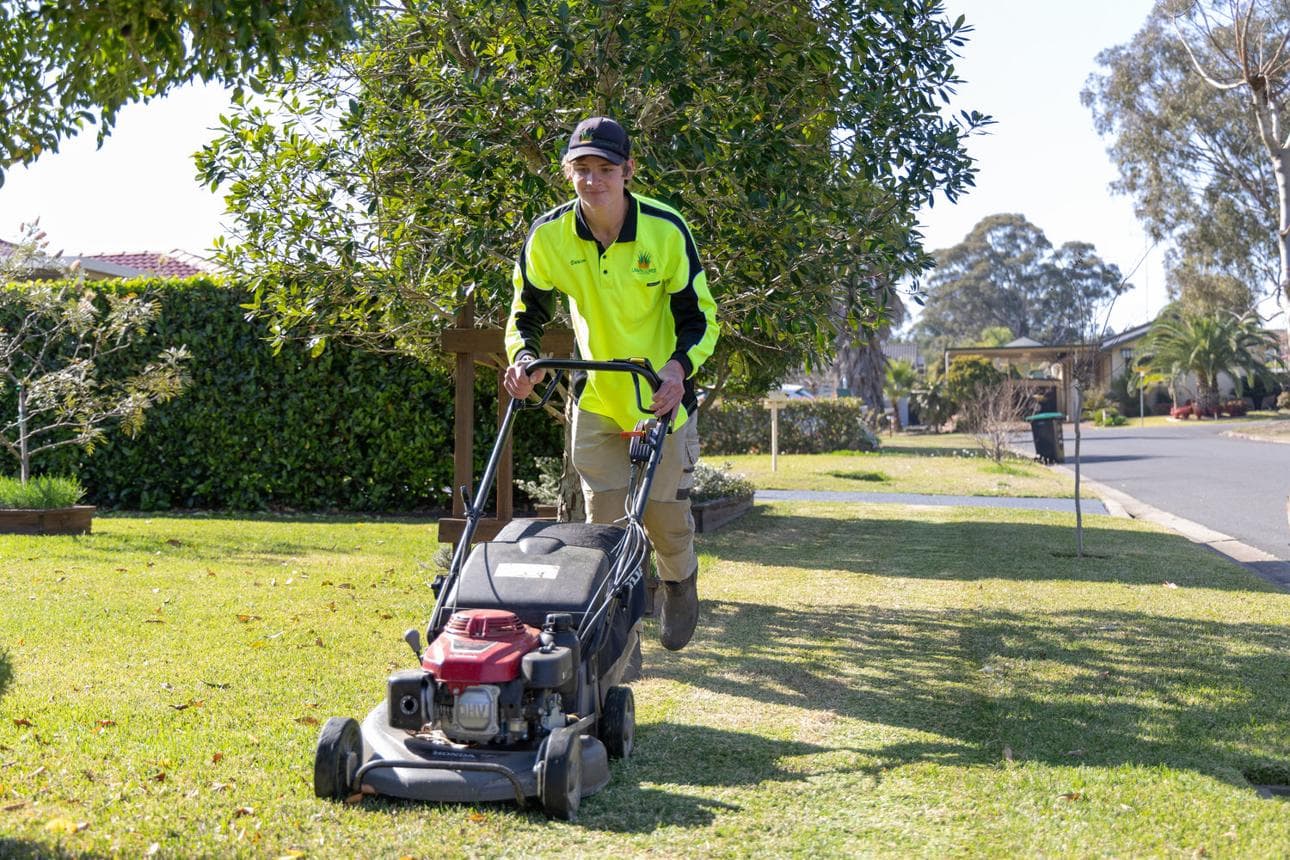Lawn Mowing result 2