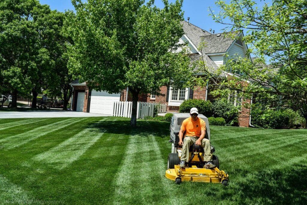 Lawn Mowing
