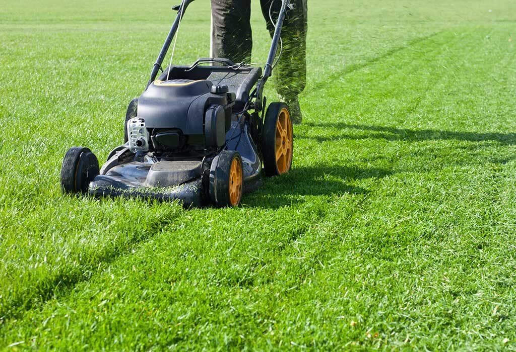 Outdoor Maintenance