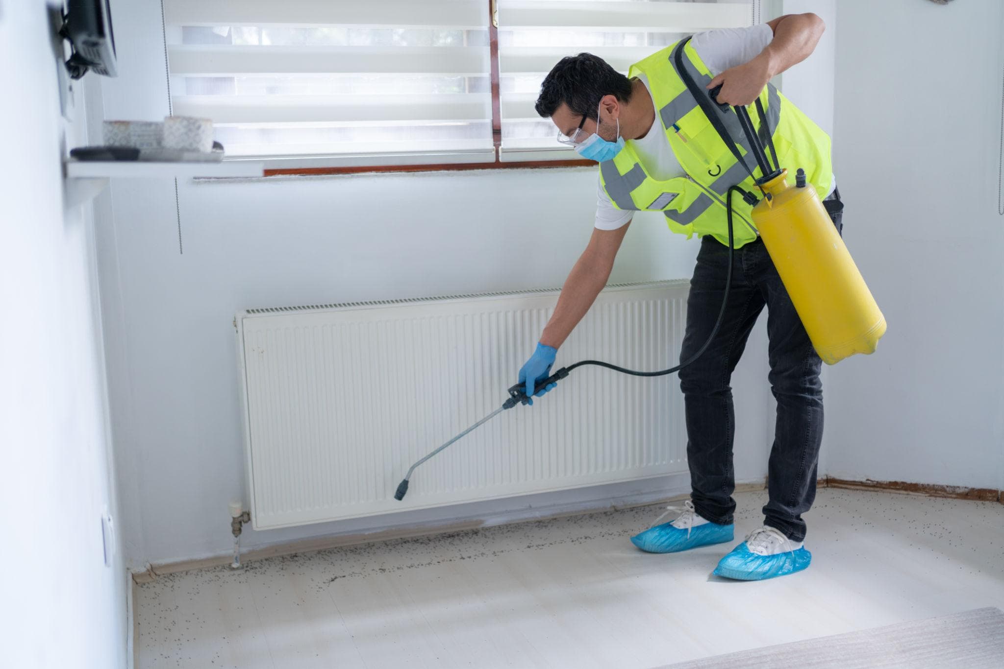 Pest Control Services